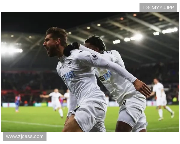 英超足球队斯旺西的俱乐部历史及联赛表现